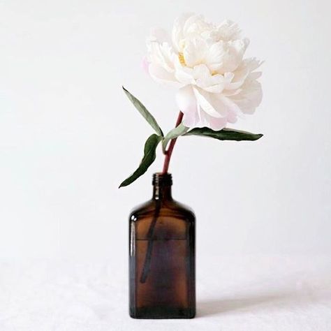 Tulip In Vase, Contemporary Art Painting Portrait, Spring Wallpaper Hd, Iphone Spring Wallpaper, Single Tulip, Plants Photography, Planting For Kids, Hd Flower Wallpaper, Plant Texture