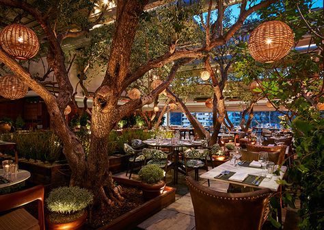 Soho House, West Hollywood - Hang paper lanterns from trees to get different levels of lighting. Outdoor Restaurant Patio, Architecture Restaurant, Bar Restaurant Design, Restaurant Patio, Design Café, Garden Cafe, Garden Greenhouse, Restaurant Ideas, Outdoor Restaurant