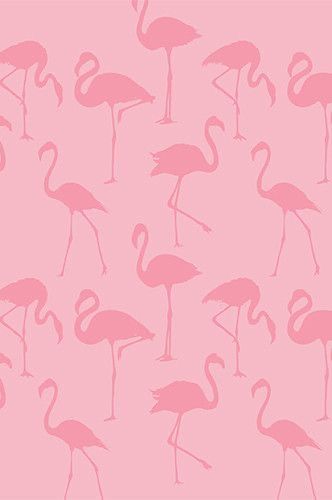 Pink Flamingo Wallpaper, Wallpapers Rosa, Flamingo Wallpaper, Flamingo Painting, Flamingo Theme, Photography Backgrounds, Flamingo Pattern, Vinyl Backdrops, Printed Backdrops