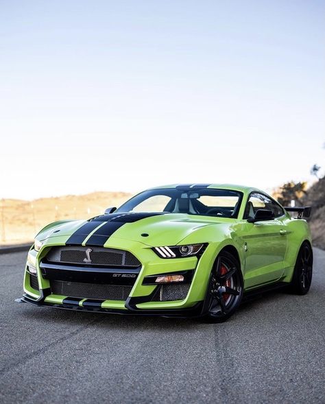 Green Fort Mustang, Shelby Cobra Gt500, Green Mustang, Shelby Mustang Gt500, Muscle Cars Mustang, Aesthetic Cars, Mustang Wallpaper, Mustang Sally, Ford Mustang Shelby Gt500