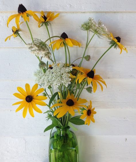 summer pasture bouquet Black Eyed Susan Wedding Bouquet, Coneflower Bouquet, Queen Annes Lace Bouquet, Daisies Wedding, Vermont Summer, Party Boards, Black Eyed Susans, Lace Bouquet, Sunflower Arrangements