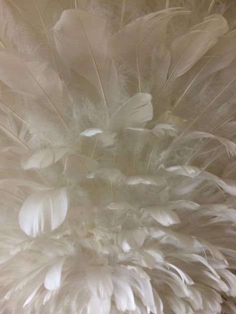 Feather Textiles, Duchess Aesthetic, Feathers Aesthetic, Feather Aesthetic, Feather Background, Ruffled Feathers, Feather Photography, Singing Monsters, White Spirit