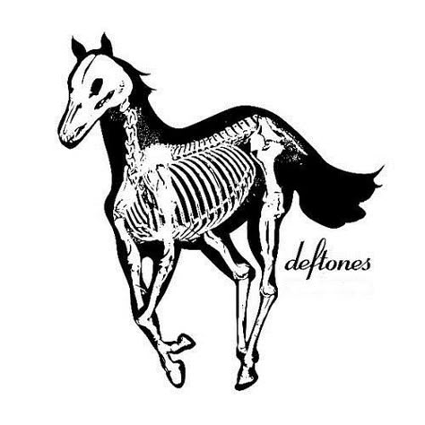 Deftones White Pony Tattoo, White Pony Tattoo, Deftones Aesthetics, Deftones Icons, Deftones Tattoo Ideas, White Pony Deftones, Deftones Art, Deftones Tattoo, Deftones White Pony