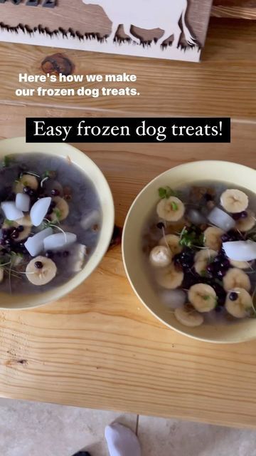 Frozen Bowl For Dogs, Frozen Treats For Dogs, Frozen Dog Bowl Treats, Frozen Lick Bowl For Dogs, Diy Frozen Dog Lick Bowl, Dog Frozen Lick Bowl, Dog Enrichment Bowls, Frozen Water Bowl For Dogs, Frozen Dog Treats Homemade Chicken Broth