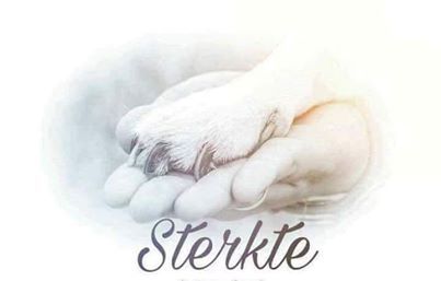 Sterkte overleden dier Miss You Images, Missing Quotes, Broken Wings, S Quote, Vintage Cat, Dog Quotes, Dog Care, Jack Russell, Dog Love