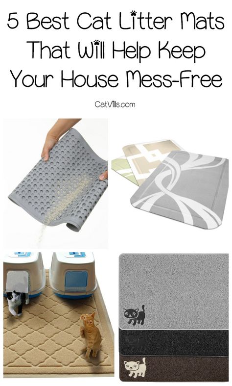 5 Best Cat Litter Mats That Will Help Keep Your House Mess-Free Litter Tracking, Best Cat Litter, Cat Litter Mat, Litter Mat, Cat Care Tips, Kitten Care, Mama Cat, Cat Box, Best Cat