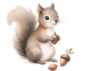 Cute Flower Illustration, Watercolor Squirrel, Watercolour Clipart, Squirrel Illustration, Squirrel Art, Fake Animals, White Backgrounds, Decor Stickers, Watercolour Illustration