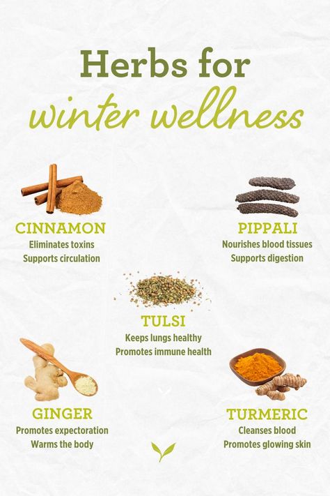 Antiflammatory Recipes, Ayurveda Winter, Warming Herbs, Ayurvedic Nutrition, Vata Season, Balance Kapha, Indian Herbs, Ayurvedic Lifestyle, Ayurvedic Tea