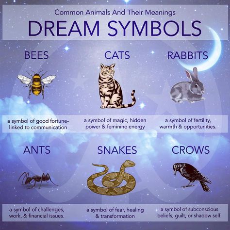 Wicca Academy on Instagram: “Each and every animal on this planet has a meaning when we dream of them. A dream about animals can be either positive or negative,…” Animals And Their Meanings, Spirit Animal Meaning, Animal Meanings, Wiccan Magic, Witch Spirituality, Ginger Smoothie, Wiccan Spell Book, Witchcraft Spell Books, Witch Spell Book