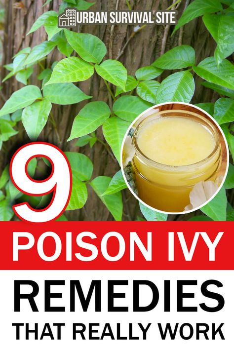 Poison Sumac Rash, Poison Oak Remedies, Poison Oak Rash, Home Remedies For Rashes, Poison Plants, Kids Survival Skills, Poison Ivy Plants, Poison Sumac, Poison Ivy Remedies