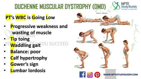 Pharmacy School Study, Nbcot Exam, Pt School, Duchenne Muscular Dystrophy, Science Board, Physical Therapy Assistant, Muscular Dystrophy, Occupational Therapy Activities, Pharmacy School