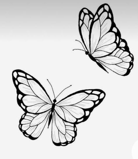 Different Butterfly Tattoo Stencil, Blue Morpho Butterfly Tattoo Black And White, Black And Grey Butterfly Tattoo, Butterfly Drawing Outline, Tattoo Papillon, Tattoo Stencil Designs, Easy Butterfly Drawing, Lettering Tattoos, Simple Butterfly Tattoo