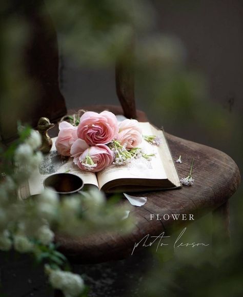 Raindrops And Roses, Airy Photography, Book Flowers, Pink Bouquet, Mixed Media Art Journaling, Arte Fantasy, Blog Content, Dark Photography, Copyright Infringement