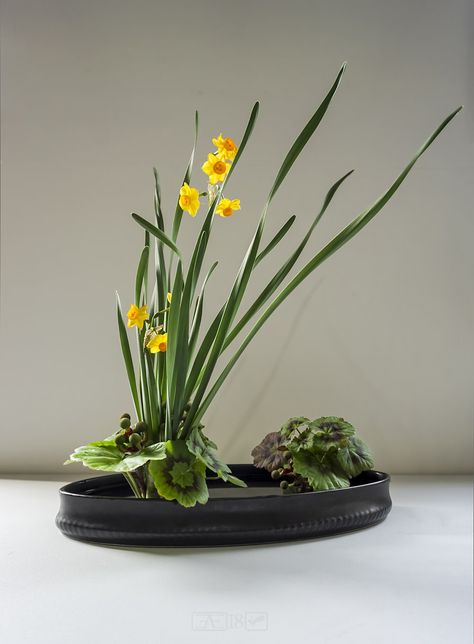 Circular Vase, Japanese Flower Arrangement, Ikebana Sogetsu, Ikebana Arrangements, Ikebana Flower Arrangement, Japanese Flower, Easy Landscaping, Flower Arrangements Simple, Modern Flower Arrangements