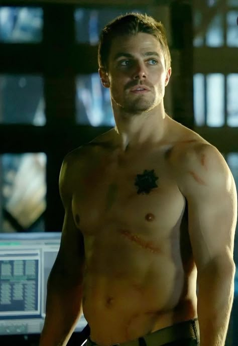 Stephen Amell Shirtless, Steven Amell, Shemar Moore Shirtless, Stephen Amell Arrow, Foto Top, Arrow Oliver, Funny Wedding Photos, Batman Beyond, Oliver Queen