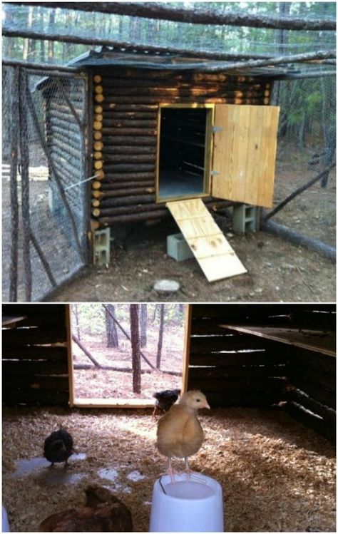 Free Diy Chicken Coop Plans, Large Chicken Coop Plans, Cheap Chicken Coops, Mobile Chicken Coop, Diy Farmhouse Decoration, Easy Chicken Coop, Portable Chicken Coop, Backyard Chicken Coop Plans, Diy Chicken Coop Plans