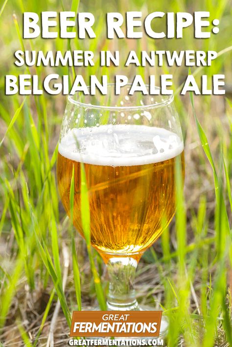 Summer in Antwerp Belgian Pale Ale Recipe :: Great Fermentations Ale Recipe, Homemade Ginger Ale, Belgian Ale, Beer Brewing Recipes, Fruit Beer, Summer Beer, Brewing Recipes, Homebrew Recipes, American Beer