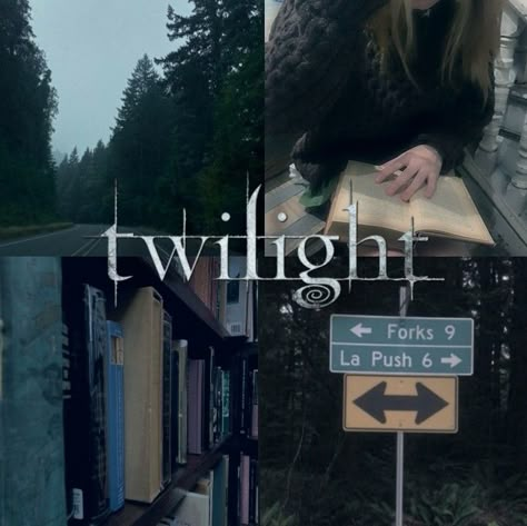 Forks Aesthetic Twilight, Forks Washington Aesthetic, Forks Washington Twilight Aesthetic, Twilight Saga Aesthetic, Alice Cullen Aesthetic, Bella Aesthetic, Forks Twilight, Twilight Core, Twilight Vibes