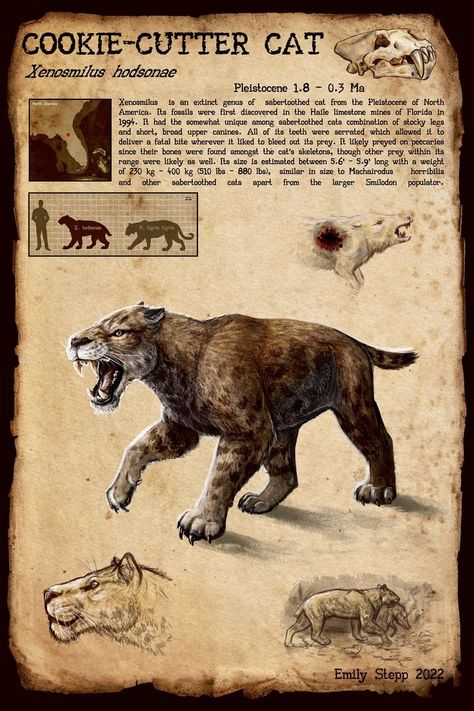 Animal Infographic, Cat Skeleton, Prehistoric Wildlife, Wild Animals Pictures, Prehistoric World, Ark Survival Evolved, Dangerous Animals, Ancient Animals, Interesting Animals