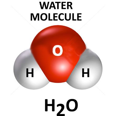 H2o Molecule, Water Exhibition, Atom Model, Earth Science Activities, Chemistry Periodic Table, Particle Physics, Ap Chemistry, Dog Spa, Ap Biology