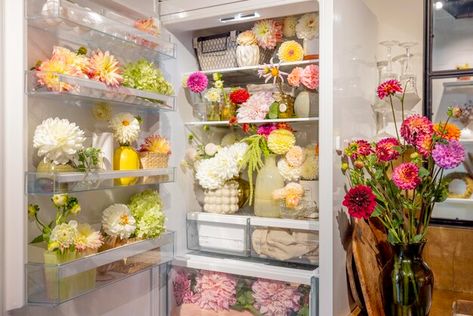 Can I Put Flowers In The Fridge? A Guide to Fridge Storage Storing Peonies In Fridge, Fridge Scaping Aesthetic, Fridge Scape, Fridgescaping Aesthetic, Fridge Scaping, Fridge Storage Ideas, Dream Fridge, Flower Fridge, Flowers Last Longer