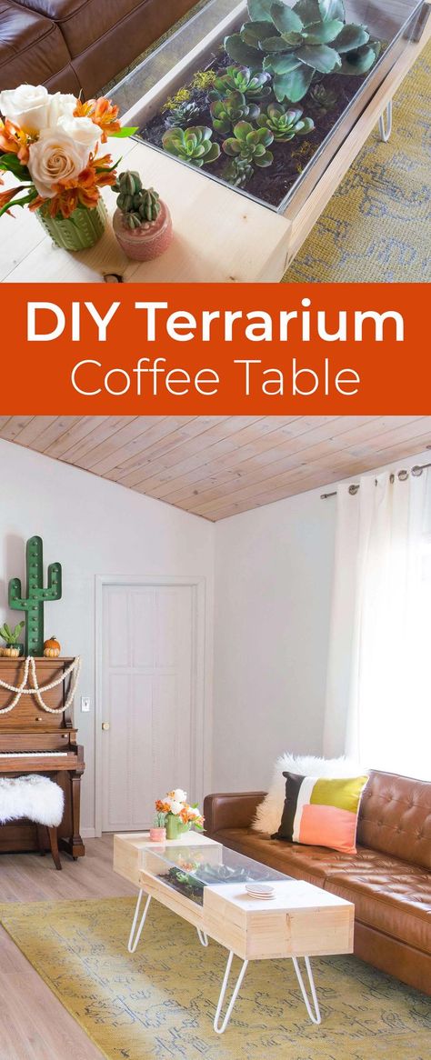 DIY Terrarium Coffee Table Terrarium Furniture, Terrarium Coffee Table, Seattle Living, Terrarium Table, Plant Obsession, Diy Terrarium, Terrarium Ideas, Apartment Stuff, Diy Table Decor