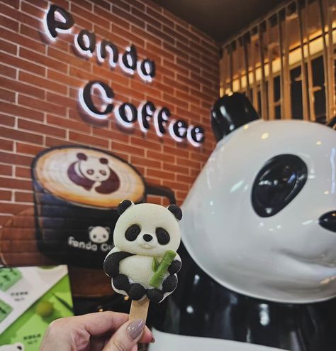 📍Beijing Zoo, Panda House, China Day 4 #panda #zoo #travel #trip #vacation #march #spring #2024 #beijing #china March Spring, Beijing China, Travel Trip, Spring 2024, Beijing, China, Travel, Instagram