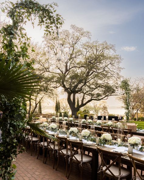 Don't you just love when the weather at a wedding is amazing? So, tell me, where would you choose to have your dream wedding? I love the view of this outdoor space with stunning backdrop at the Dallas Arboretum. #dallaswedding #dallasweddingphotographer #weddingvenue #dallasarboretum #dallasarboretumweddings #Dallas #DallasTX #outdoorwedding #gardenwedding Surprise Engagement Proposals, Dallas Arboretum Wedding, Engagement Proposals, Dallas Wedding Venues, Surprise Engagement, Dallas Arboretum, Fun Moments, Fort Worth Wedding, Wedding Photography Styles