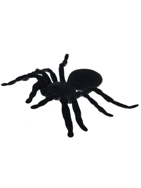 Scary Spider, Fake Spider, Halloween Spider Decorations, Spider Decorations, Spiders Scary, Spider Halloween, Black Spider, The Spider, Halloween Spider