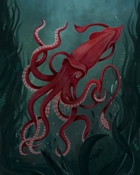 Big Squid is a gouache painting I did a few years ago just for fun. Every so often I return to her for a bit of an update to see where I'm at now and how I'm enjoying working at the moment, we're probably on V3.0 here.  My focus historically has been decorative design and botanical art, this being the case scenic backgrounds are something I've neglected/ avoided for decades. Getting to grips with digital painting is helping me overcome some of the blocks I had in this area and I'm enjoying cr... Giant Pacific Octopus Drawing, Squid Illustration Cute, Giant Squid Illustration, Squid Reference, Giant Squid Drawing, Squid Painting, Humboldt Squid, Squid Illustration, Squid Drawing