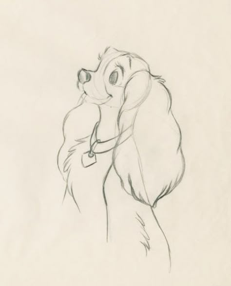 Lady From Lady And The Tramp Drawing, Old Disney Drawings, Lady And The Tramp Drawing, Lady And The Tramp Tattoo, Disney Drawings Sketches, Posca Art, Charcoal Drawings, Disney Sketches, Art Tools Drawing