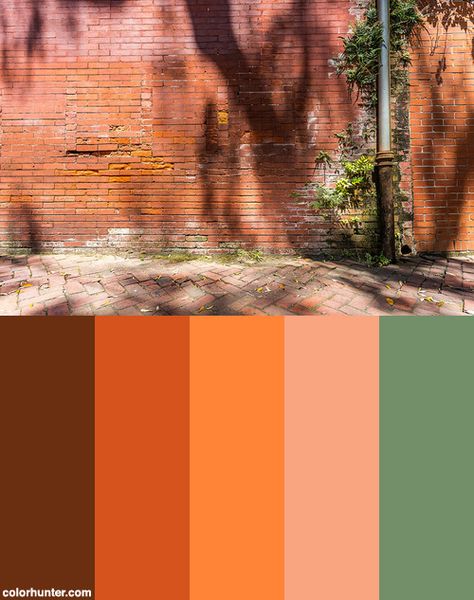 An Old Brick Wall Color Scheme from colorhunter.com Brick Orange Color Palette, Red Brick Colour Palette, Brick Wall Color Palette, Color Palette Brick Red, Colorful Brick Wall, Brick Colour Palette, Brick House Color Scheme, Brick Wall Color Ideas, Red Brick Color Palette