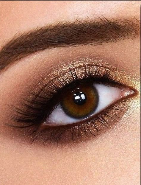 Bronze Eye Makeup, Eye Makeup Looks, Eye Shadow Brush, Best Eye Makeup, Gold Makeup, Celebrity Couples, Eye Shadow, Eye Makeup, Makeup