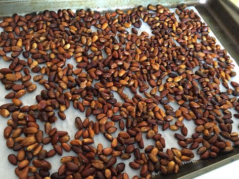 Little Miss Suzy Q: How to Roast Pine Nuts in Shell Toasted Pine Nuts How To, How To Roast Pine Nuts In Oven, Roasted Pine Nuts How To, Nuts Quotes, Suzy Q, Superbowl Food, Pine Nut Recipes, Pumpkin Desserts, How To Roast