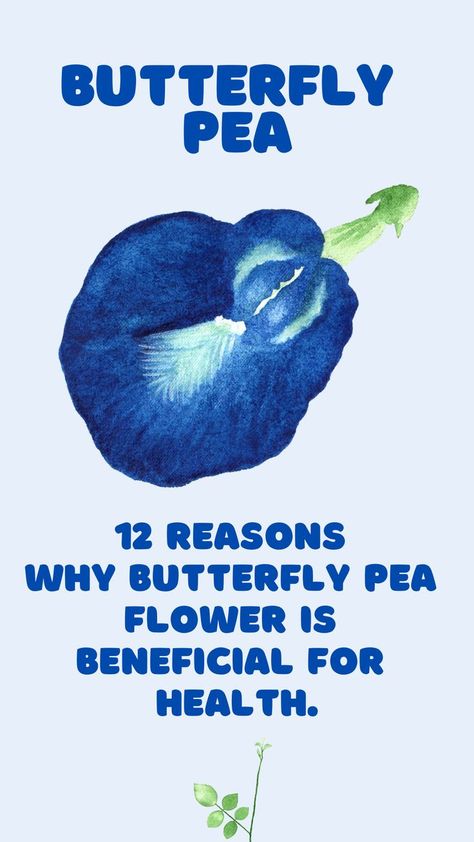 Butterfly Pea Flower Benefits, Blue Pea Flower, Herbal Kitchen, Tea Blends Recipes, Butterfly Pea Tea, Butterfly Pea Flower Tea, Butterfly Tea, Medicinal Tea, Healing Tea