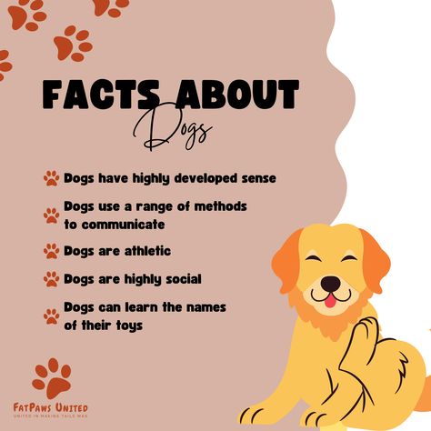 🐶🐶 Facts about Dogs. ❓❓ Dog Facts Interesting, Facts About Dogs, Athletic Dogs, Training Dogs, Dog Sounds, Notes Ideas, Helpful Things, Behavior Modification, Dog Information