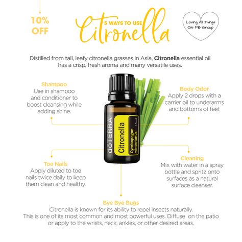 Doterra Citronella, Doterra Diffuser, Homemade Candle, Citronella Essential Oil, Essential Oil Education, Room Freshener, Diy Candle, Doterra Oils, Body Odor