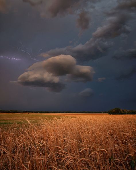 hoto by @ladzinski | A warm and strange glow filtered prismatically through a lightning-filled #supercell storm system at sunset over Deep South Aesthetic, Thunderstorm Clouds, Lightning Cloud, Dust Bowl, Sky Full Of Stars, Deep South, Wheat Fields, Dark Skies, The Ranch