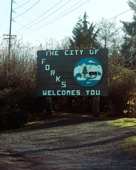 Forks WA Folks Washington Twilight, Twilight Road Trip, Washington Twilight Aesthetic, Forks Washington Aesthetic, Forks Washington Twilight Aesthetic, Yn Aesthetic, Washington Twilight, Forks Washington Twilight, Pacific Northwest Aesthetic