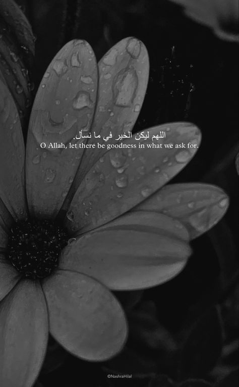 #flowers #rain #rainyday #aesthetic #arabic #persian #ramadan #ramadankareem #islam #islamicquote #islamicreminders #muslim #muslimstyle #fyp #grunge #photography #photooftheday Islamic Dps Aesthetic, Rain Flowers Aesthetic, Grey Aesthetics, Islamic Dps, Islam Wallpaper, Islamic Aesthetic, No Rain No Flowers, Allah Love, Muslimah Aesthetic