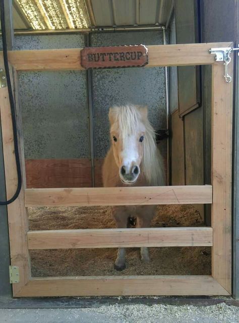 Mini door that can be converted for big horses Mini Horse Stall Ideas, Mini Horse Stall, Barn Ideas For Horses, Mini Horse Shelter, Stall Doors For Horses Diy, Horse Barn Ideas, Mini Donkey Shelter, Mini Horse Barn, Small Horse Barn Door