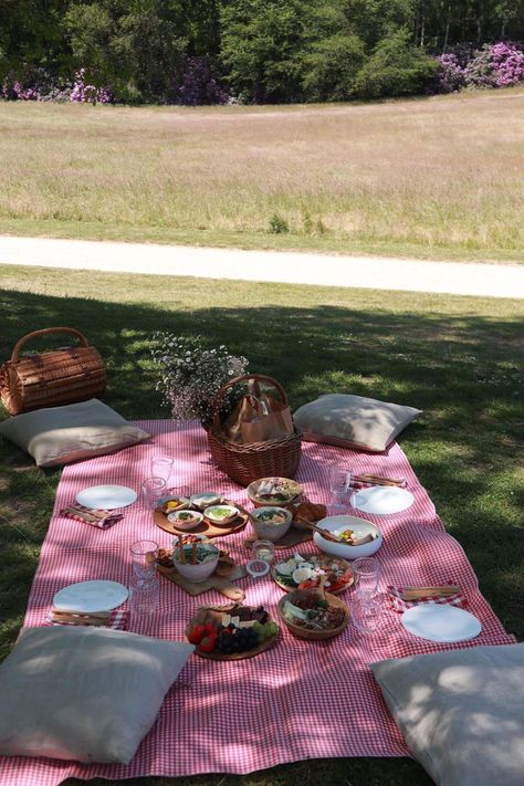 Pic Nic Birthday Party Aesthetic, Picnic And Flowers, Birthday Picnic Ideas Kids, Color Picnic Ideas, Pic Nic Ideas Romantic, Birthday Picnic Ideas Decorations, Picnic Under Tree, Outside Picnic Ideas, Small Picnic Ideas