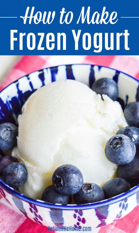 Sugar Free Frozen Yogurt Recipe, Frozen Yogurt Recipe Ice Cream Maker, Pumpkin Frozen Yogurt, Diy Frozen Yogurt, Yogurt Ice Cream Recipe, Homemade Frozen Yogurt Recipes, Froyo Recipe, Frozen Yogurt Ice Cream, Frozen Yogurt Recipe