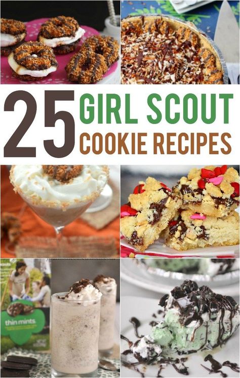 Girl Scout Cookie Recipes, Girl Scout Cookie Sales, Gs Cookies, Food Contest, Popular Desserts, Girl Scout Cookies, Favorite Cookies, Girl Scout, Perfect Desserts