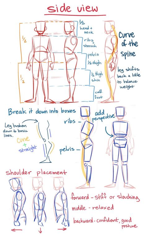 Art Tips/Refs/Techniques! on Twitter: "Side view Anatomy Tips by theredlinestation on tumblr!! #art #artist #ArtistOnTwitter… " Of Drawing, Drawing Creepy, Steps Drawing, Draw Caricatures, Can Drawing, Creepy Drawing, Expression Drawing, Love Expression, Drawing Birthday