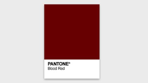 Pantone launches a Period colour (and people are seeing red) | Creative Bloq Red Pantone, Period Color, Seeing Red, Medical Help, Blood Red, Color Of The Year, Color Of Life, Pantone Color, Color Theory