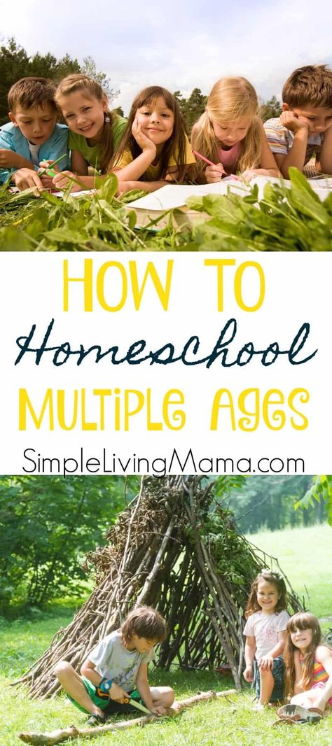 Homeschooling Multiple Ages, Best Homeschool Curriculum, How To Homeschool, Math Pages, Homeschooling Tips, Homeschool Tips, Secondary Teacher, Homeschooling Ideas, Homeschool Schedule