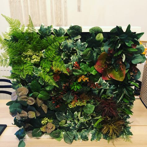 Artifical plant wall. Using a large ikea ribba frame. Ribba Frame, Ikea Ribba Frames, Plant Hacks, Plant Wall, Artificial Plants, Frame, Wall, Plants