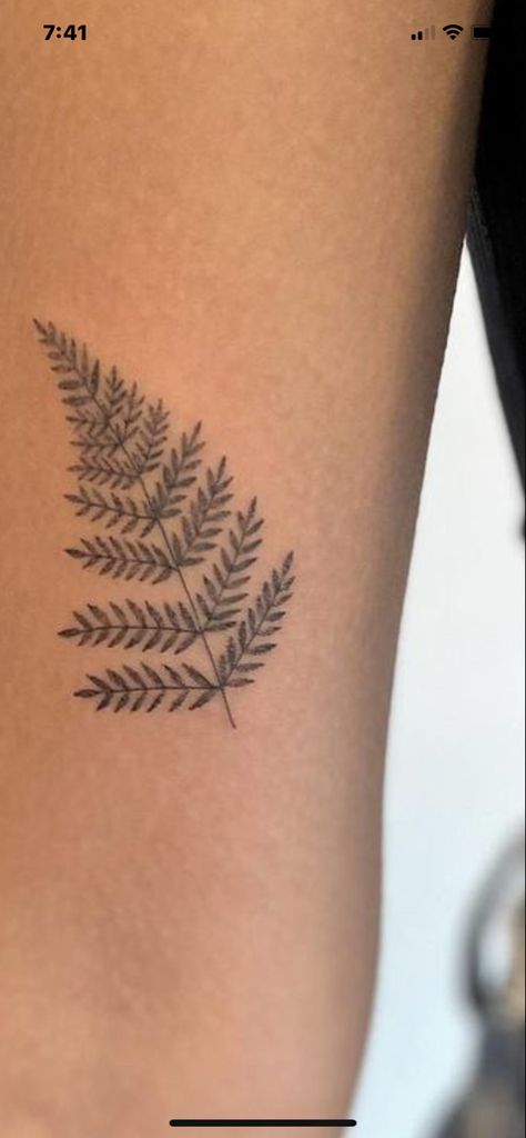 Tiny Fern Leaf Tattoo, New Zealand Leaf Tattoo, Fern Ankle Wrap Tattoo, Small Fern Leaf Tattoo, Fern Tattoo Simple, Dainty Fern Tattoo, Fern Fine Line Tattoo, Red Fern Tattoo, Naturalistic Tattoos