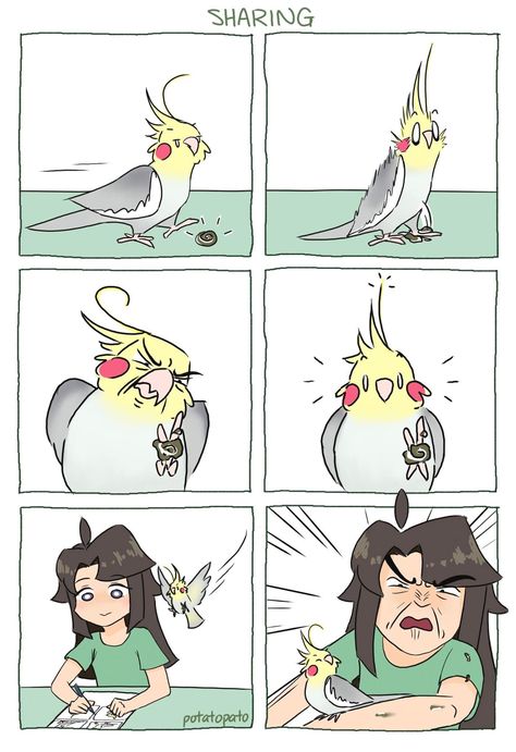 Funny Animal Comics, Cute Animal Memes, Funny Parrots, Funny Comic Strips, Funny Birds, 웃긴 사진, Funny Animal Memes, Animal Jokes, Cute Birds